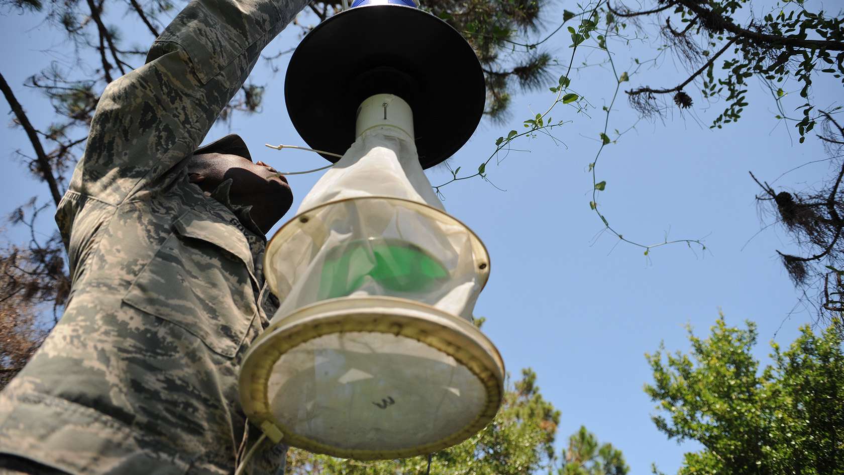 Medical Entomologist Requirements and Benefits U.S. Air Force